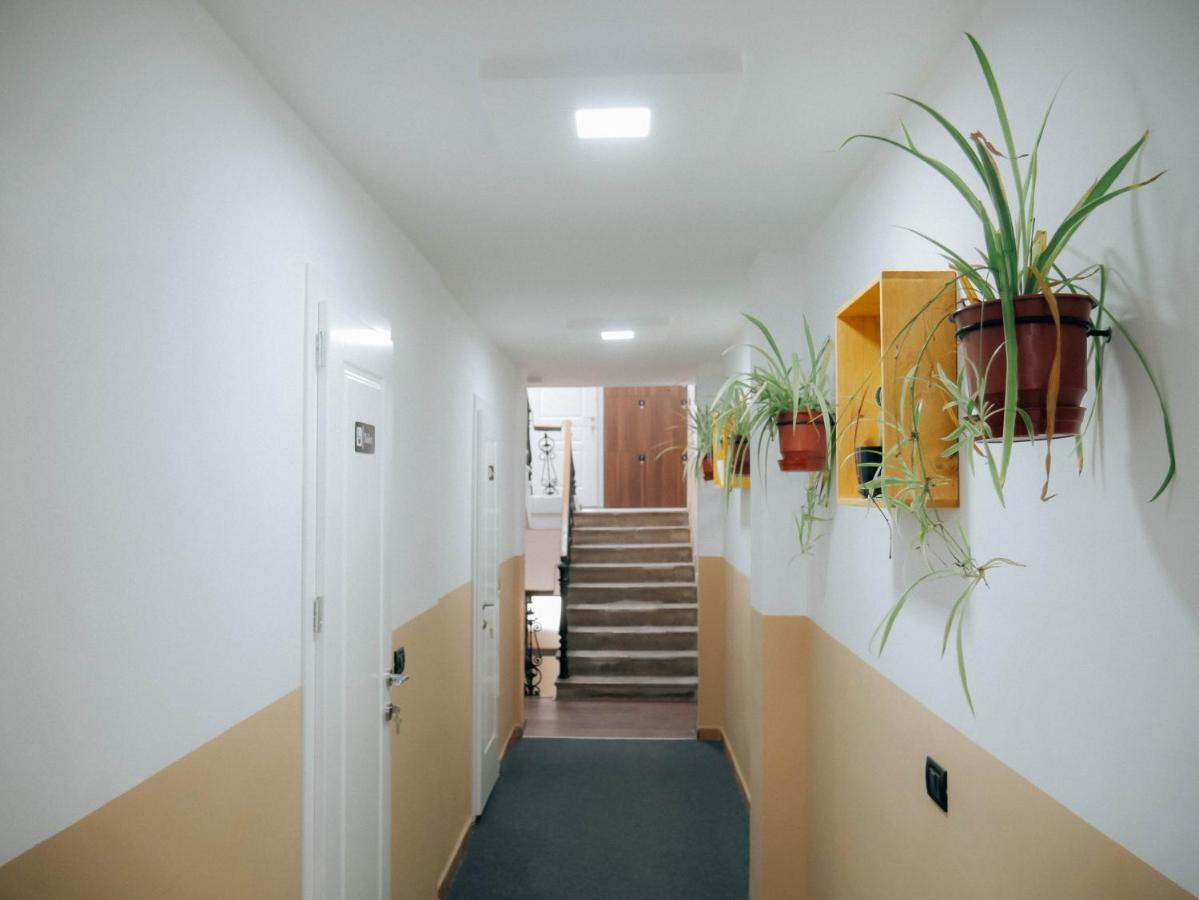 The Maze Hostel Тирана Екстер'єр фото
