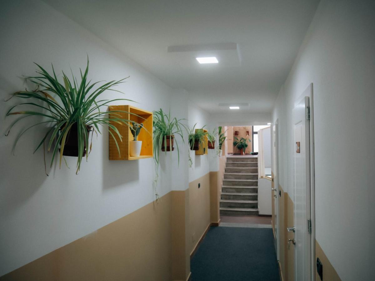 The Maze Hostel Тирана Екстер'єр фото
